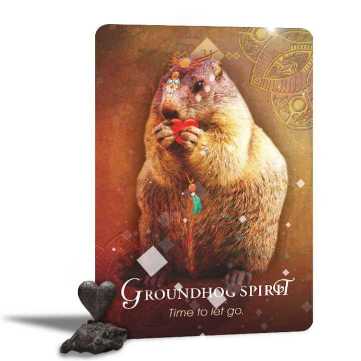 The Spirit Animal Oracle