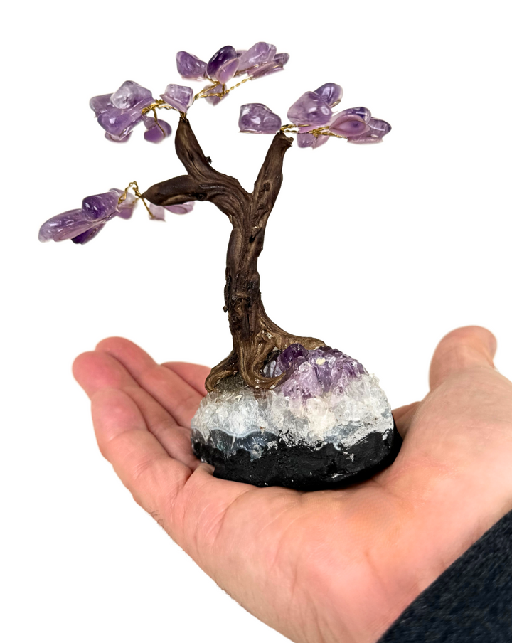 Amethyst Crystal Tree