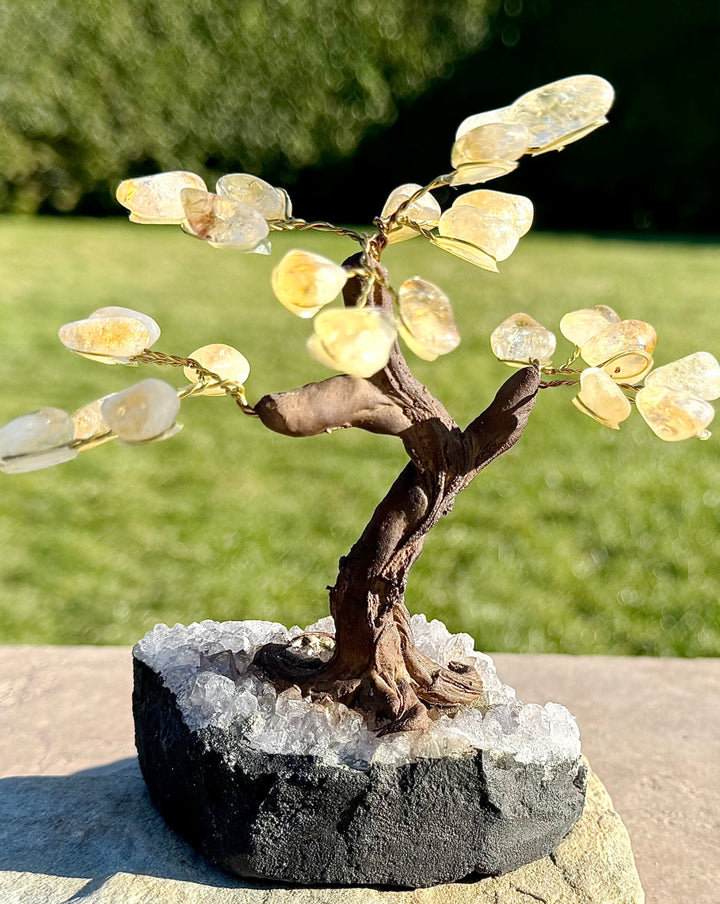 Citrine Crystal Tree