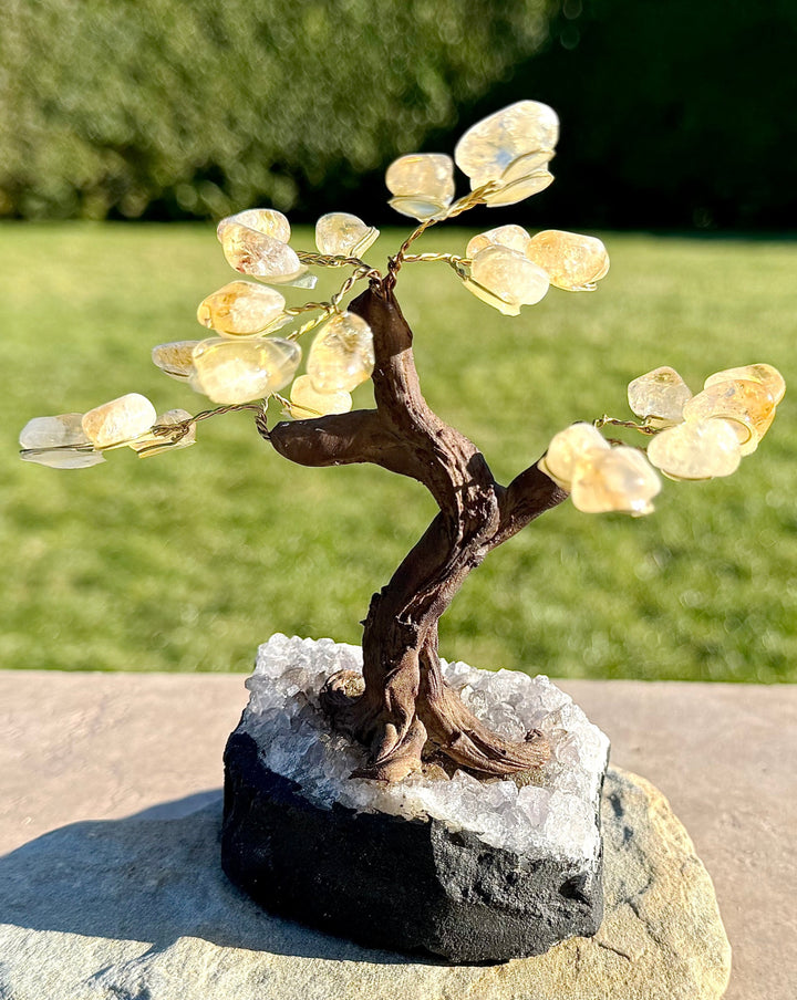 Citrine Crystal Tree