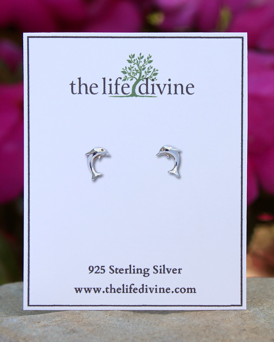 Sterling Silver Dolphin Stud Earrings on card