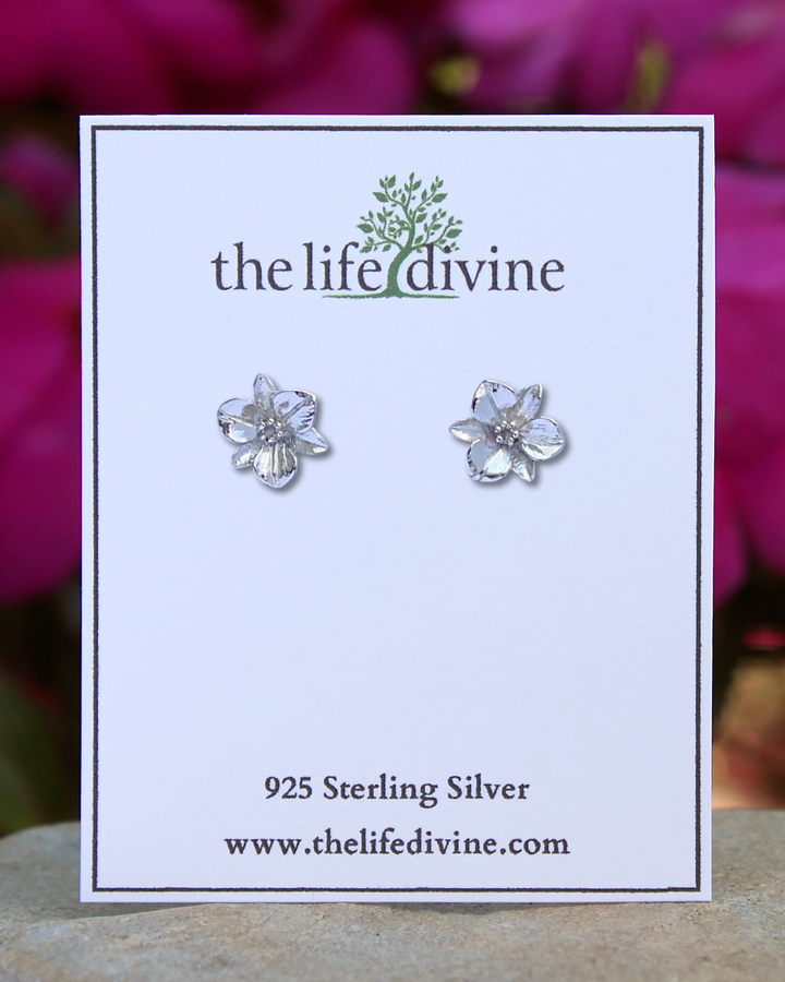 Sterling Silver Plumeria Stud Earrings on card