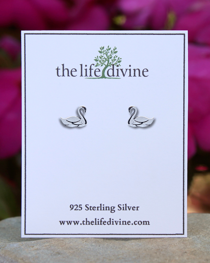 Swan Sterling Silver Earrings on a card.