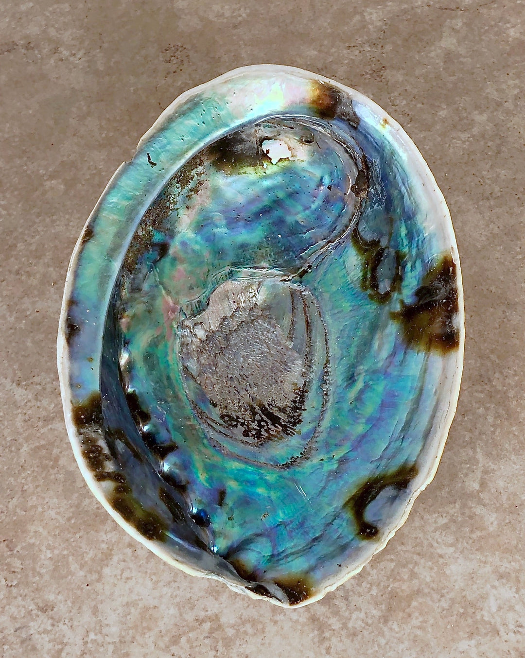 Abalone Shell Smudge Bowl