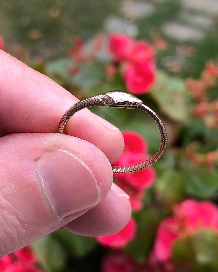 Ouroboros Bronze Snake Ring