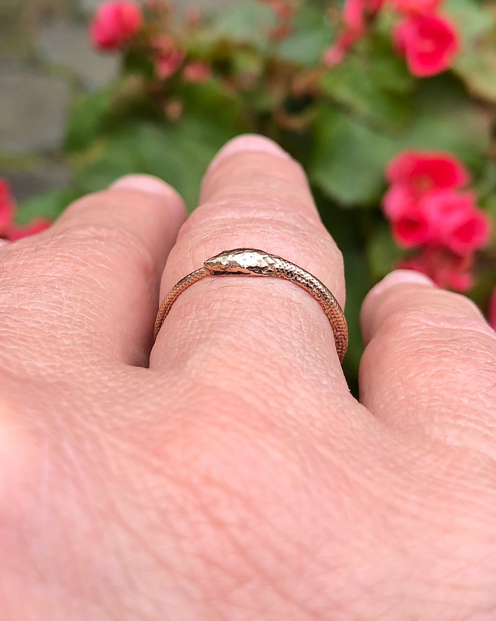 Ouroboros Bronze Snake Ring