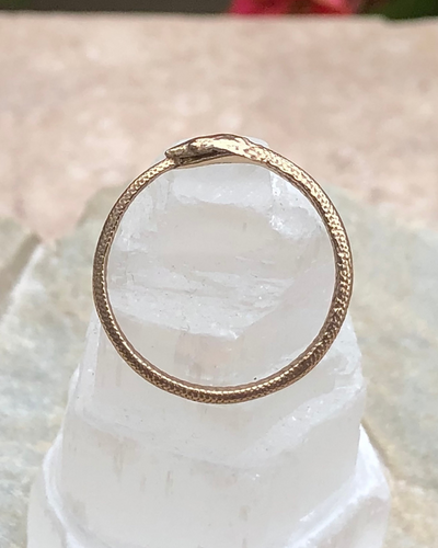Ouroboros Bronze Snake Ring