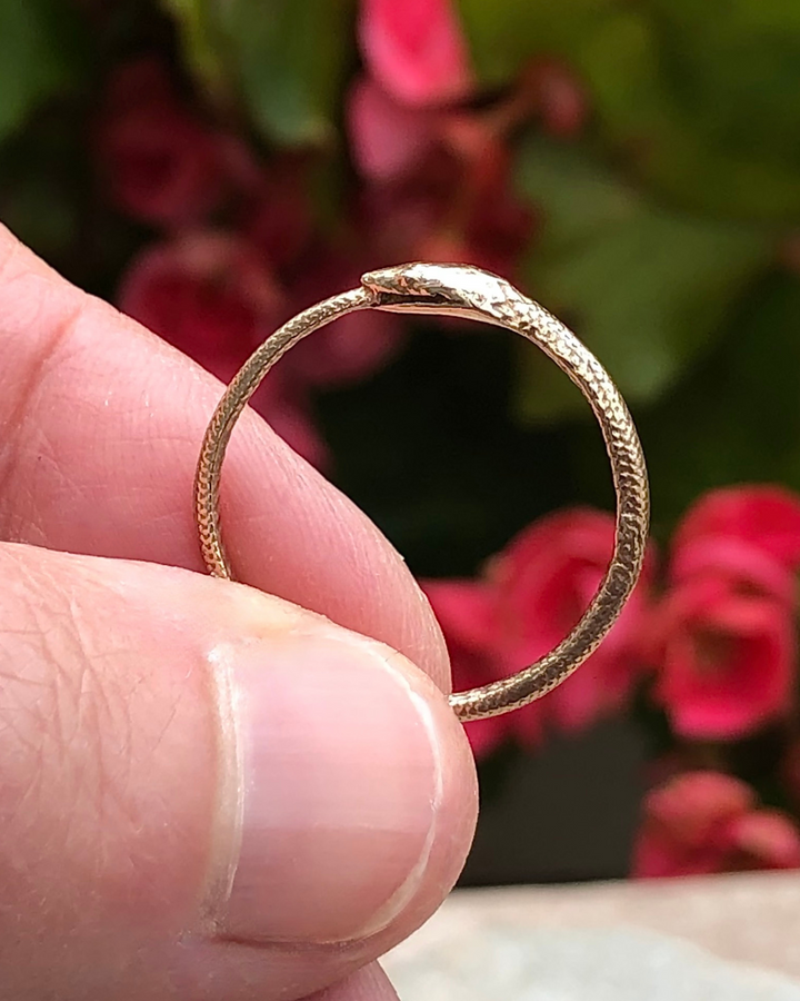 Ouroboros Bronze Snake Ring