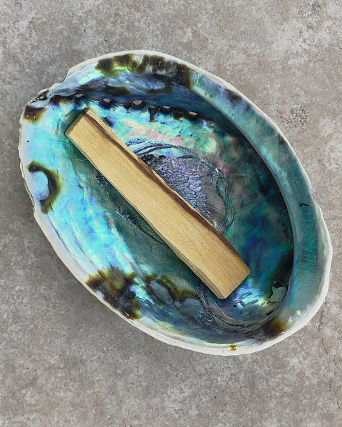 Abalone Shell with Palo Santo Stick