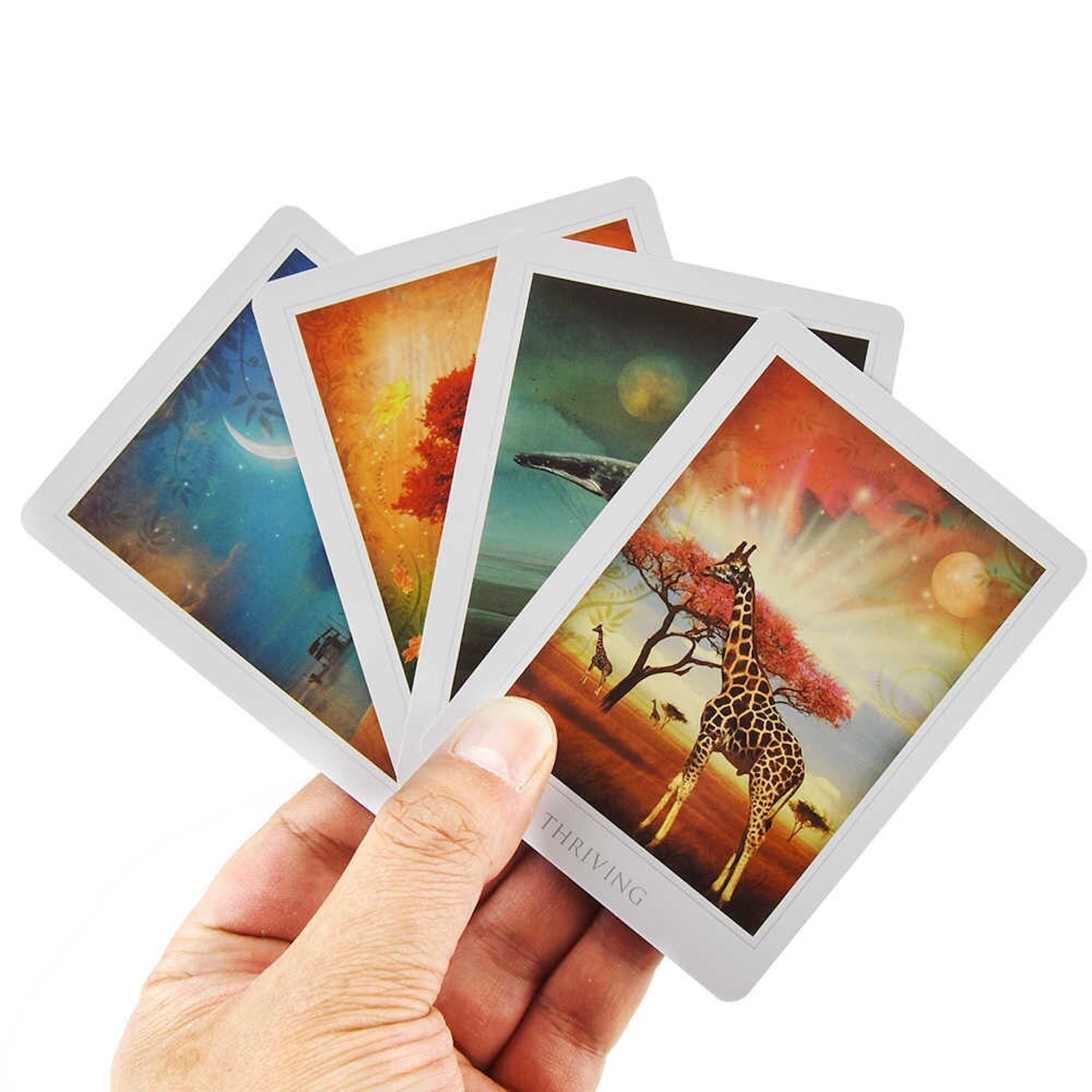 Sacred Destiny Oracle Cards and Guidebook – The Life Divine