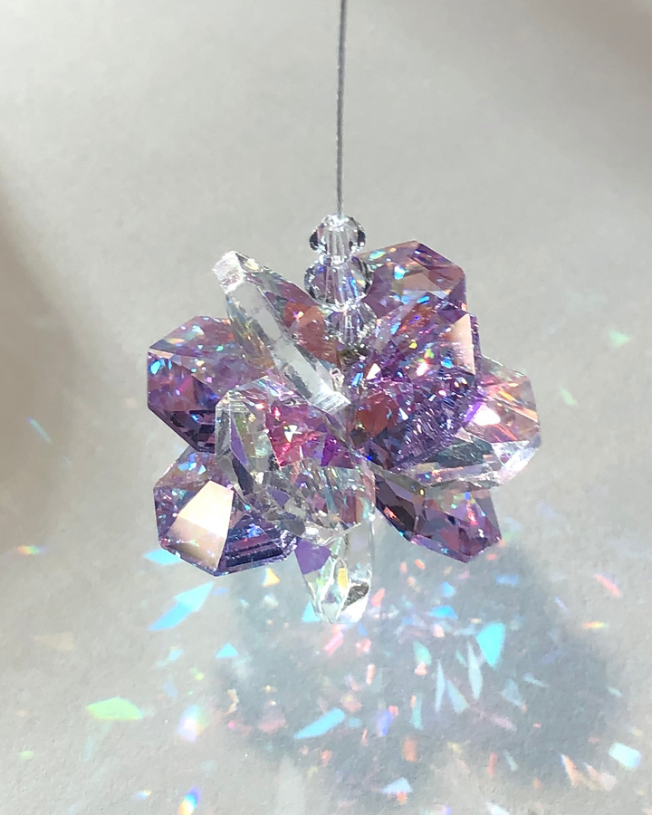 Starburst Cluster Sun Catcher