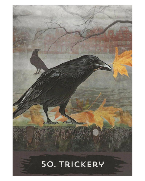 Urban Crow Oracle Cards and Guidebook