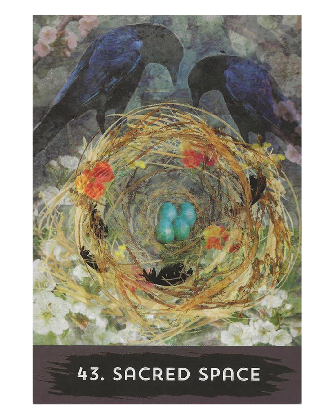 Urban Crow Oracle Cards and Guidebook