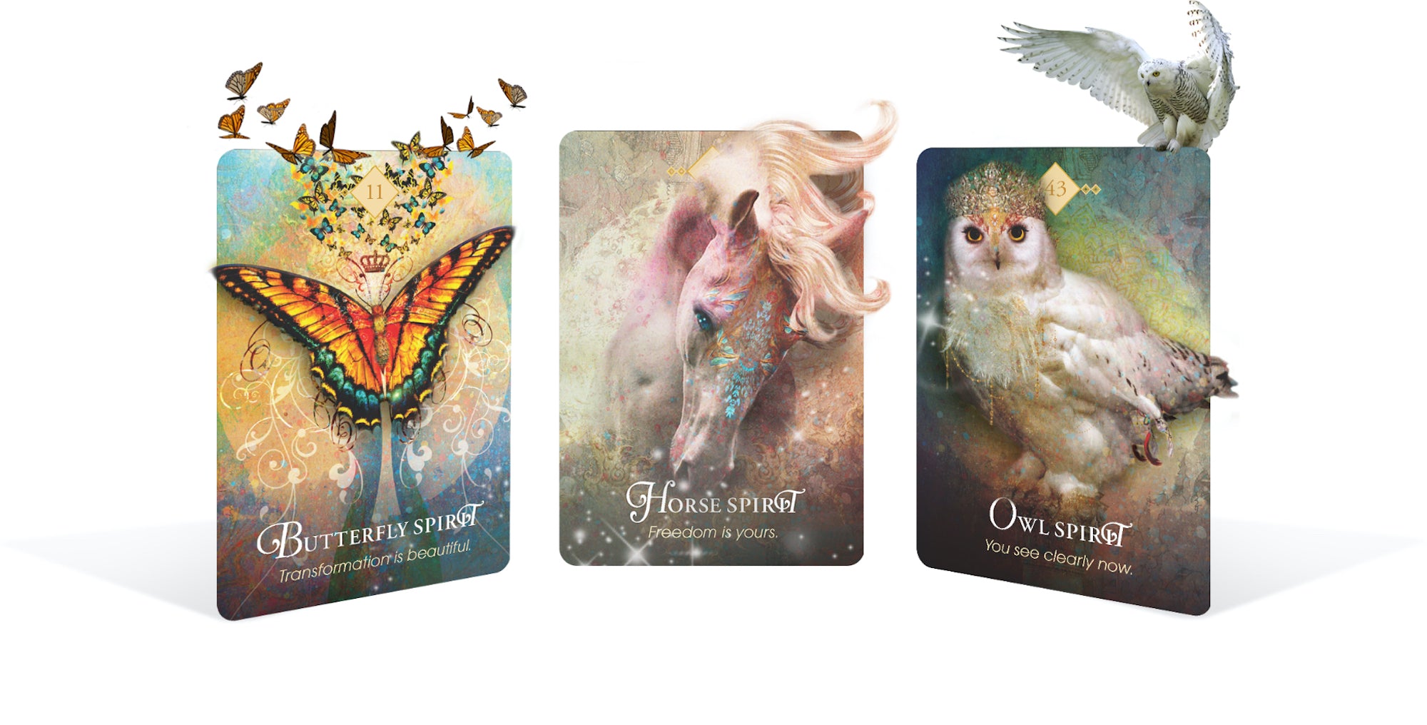 ァッション人気ブランドランキング Oracle Animal Spirit The – Divine Life The その他